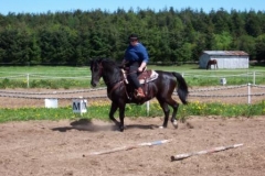 maastrup_img06