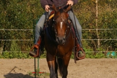 michael2