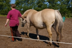 rikke3